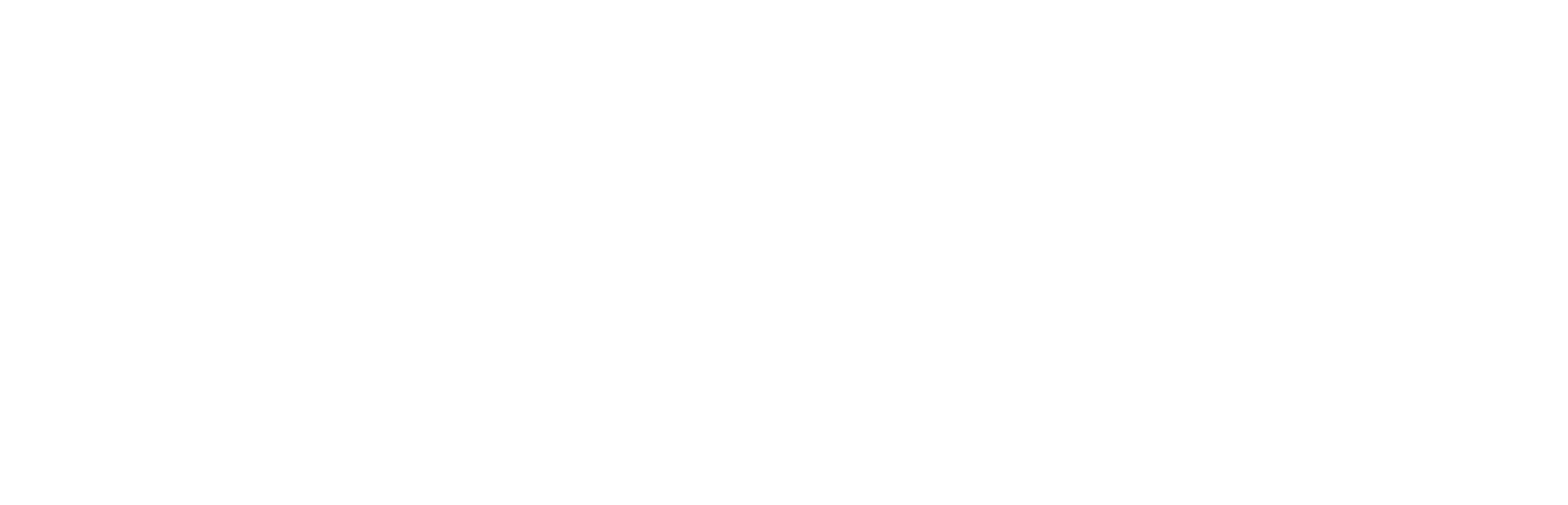 WISEWIRES